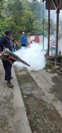 Program Fogging yang teramat Penting